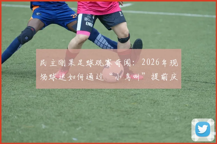 民主刚果足球观赛奇闻：2026年现场球迷如何通过“小鸟叫”提前庆祝进球？揭秘球场内外信号