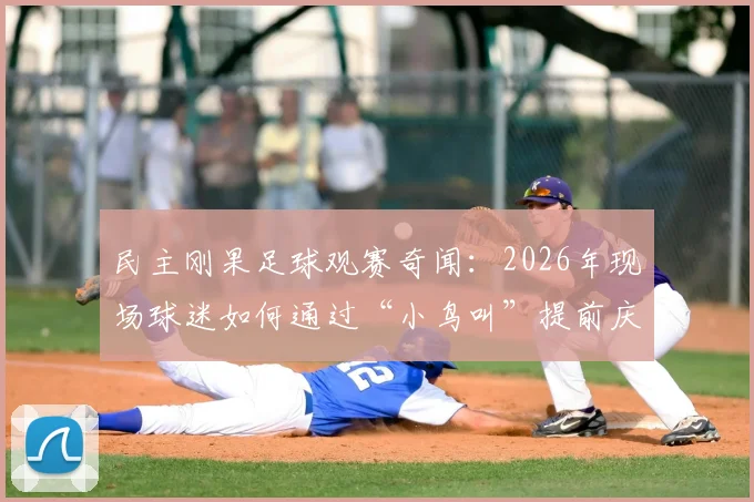 民主刚果足球观赛奇闻：2026年现场球迷如何通过“小鸟叫”提前庆祝进球？揭秘球场内外信号